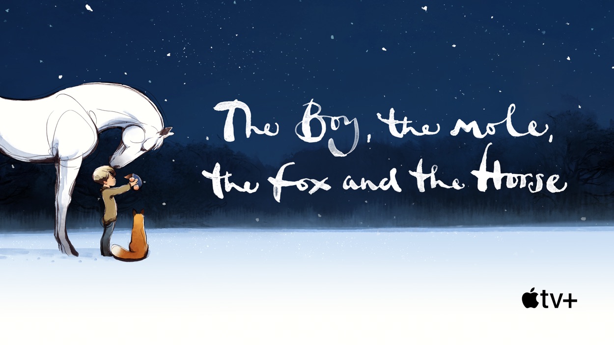 the-boy